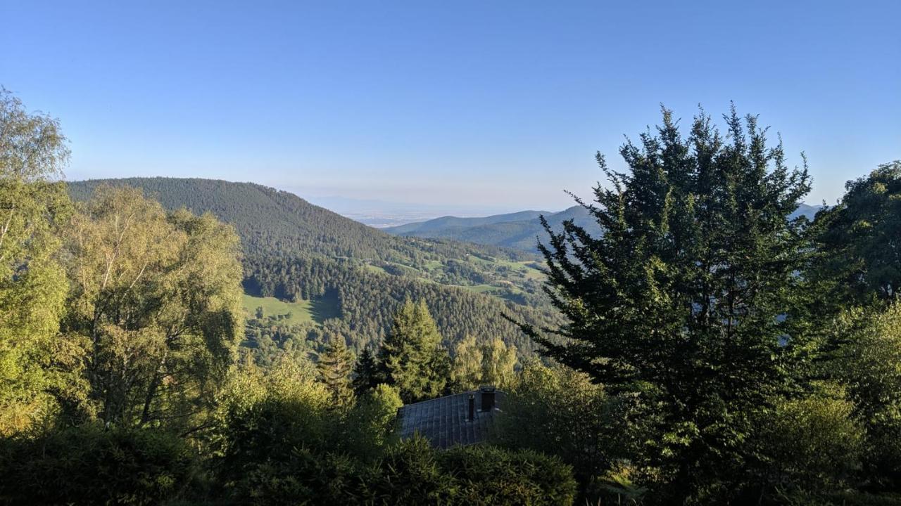 Apigite68, Proche Route Des Vins, Vosges, Colmar Et Non Loin D'Europa-Park! Ostheim Buitenkant foto